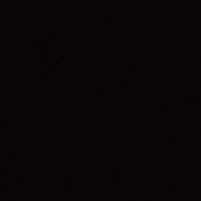 Guest_LypsLacoste
