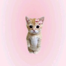 Guest_Celinha10