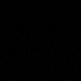 Guest_Tara507117