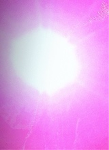 Guest_keke376974