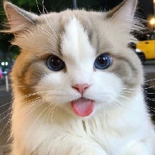 HYOK4