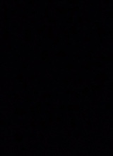 SVDNEY