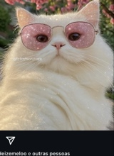 صورة الـavatar