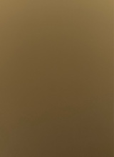 Guest_ariannnnnnna1