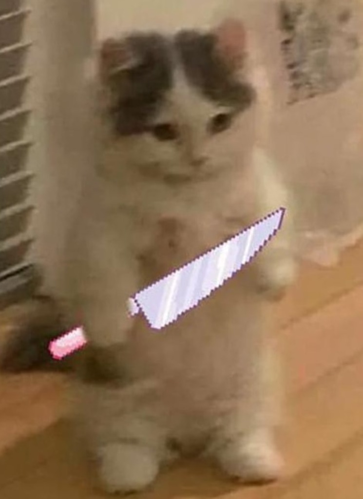 avatarbild