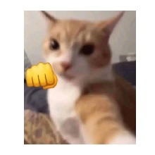ddarkmee3