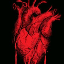 immagine avatar
