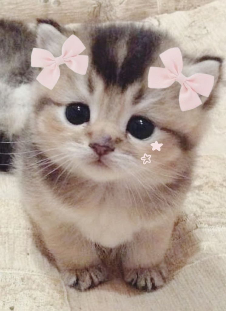 Kittler