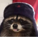 Guest_Rwoz