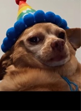 TheOnnly