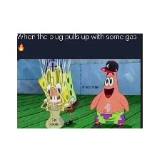 Guest_Hennessy374864
