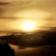 Guest_Savannah3414