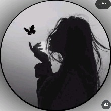 Guest_Sam2416