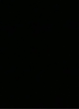 Guest_Delilah405528