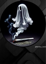 immagine avatar