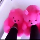 Guest_babydolltay4