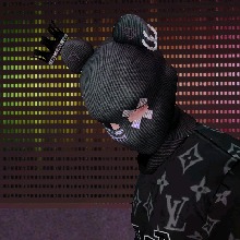 Guest_XANDER996044