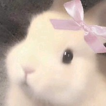 Guest_Zeelk