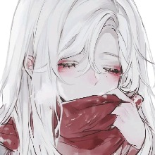 voo