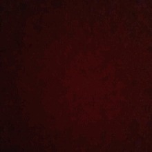 Guest_MelanyOrellana1