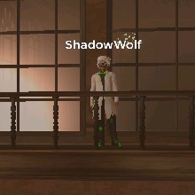Guest_ShadowWildWolf