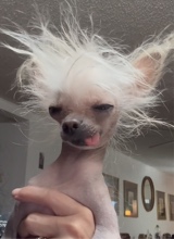 bihbye