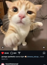 Guest_Rinnliii