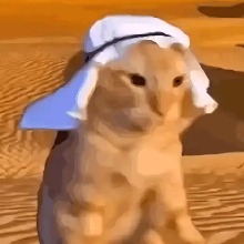 Guest_Rebel11