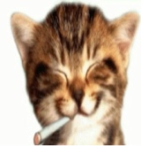 Guest_Loadingopps1