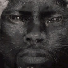 JsonBey