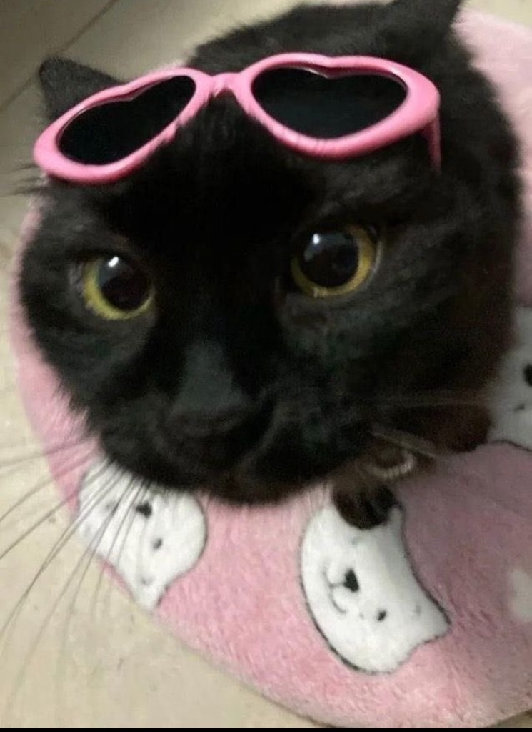 faoxiltiama