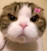 Guest_Tumblrd