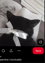 Guest_oiDaDDy