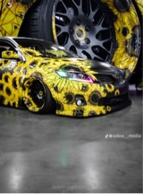 avpic