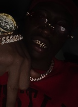31Plug