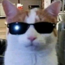 Guest_wtfJu1