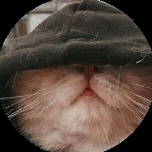 Guest_Jinxy8
