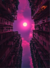 Guest_Kanewillreturn