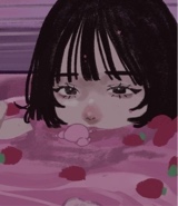 Guest_NORI828053