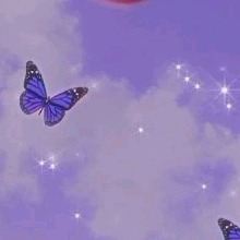 Guest_Natalia798009