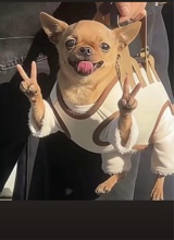 Guest_goodthroatDEV