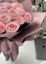 Guest_britney673203
