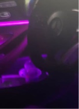 Guest_xNivisx