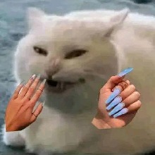 Guest_X0PeachyBee0X