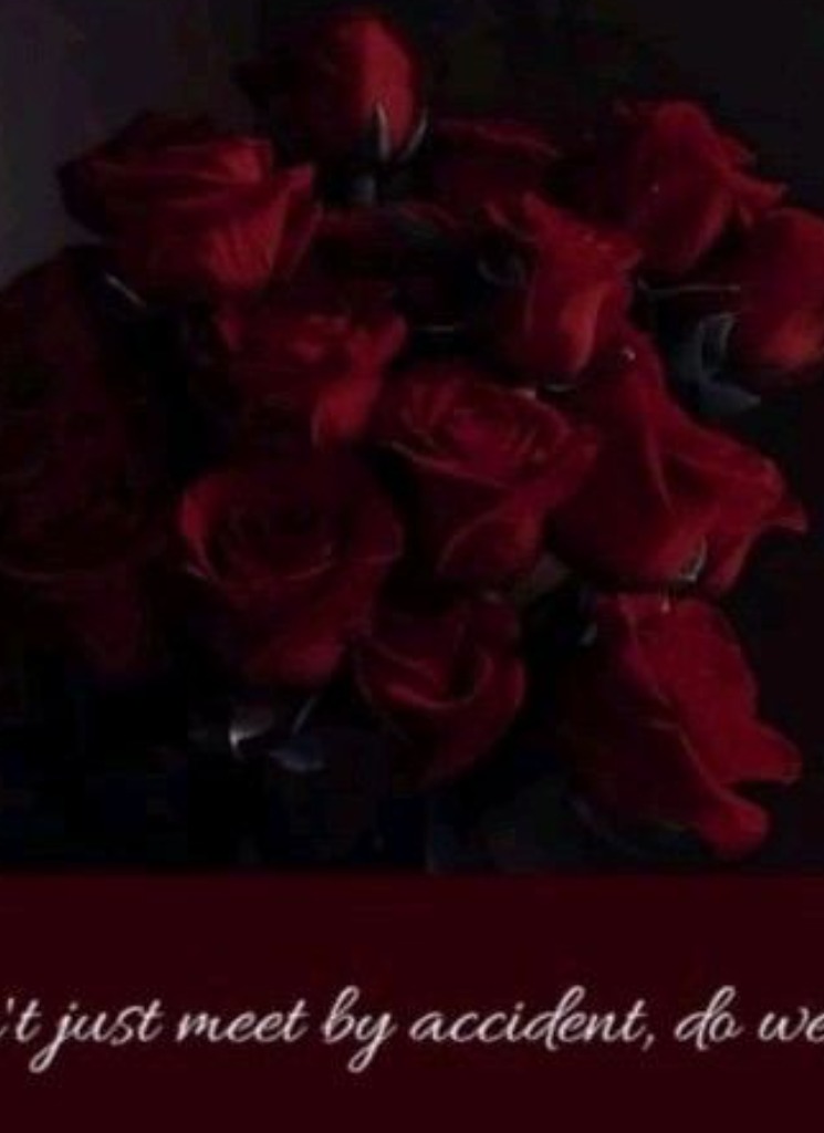 Guest_miraraspberry246b