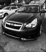 Guest_Shawn398152