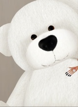 Teddybear997836