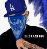 Guest_Anthony503