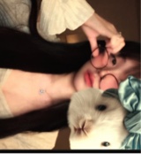 KimTeTim