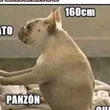 Mirianz